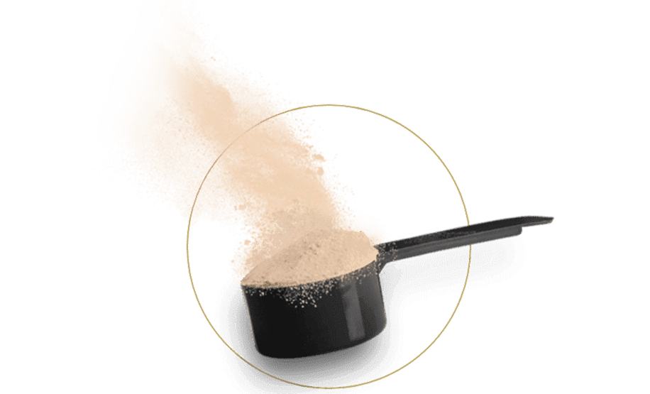GROWTH SUPPLEMENTS - Scoop de Big Mass