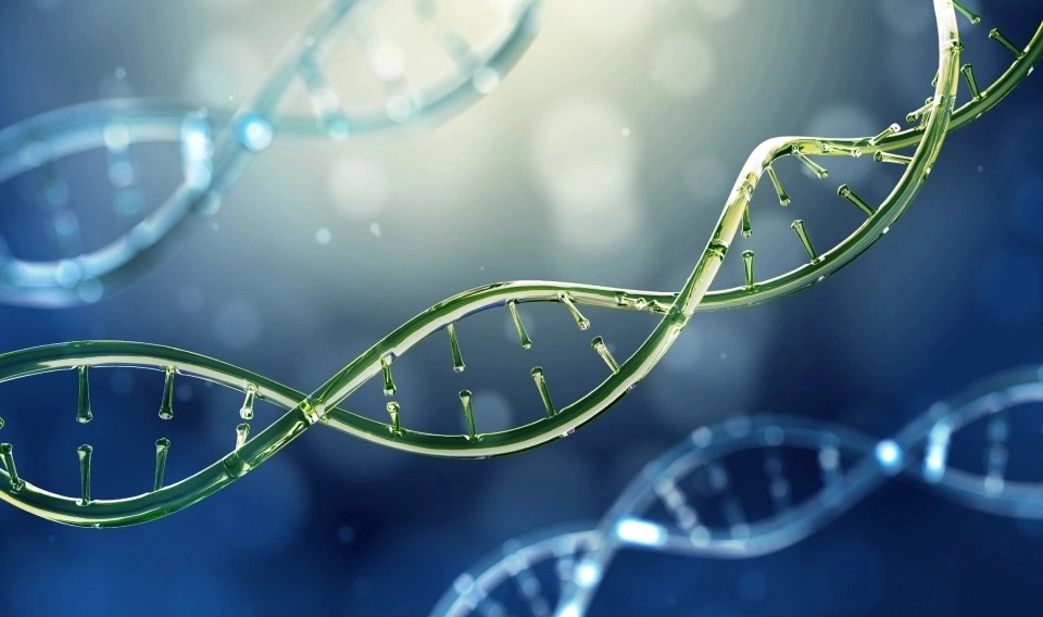 Growth Supplements - IMAGEM ILUSTRATIVA RNA