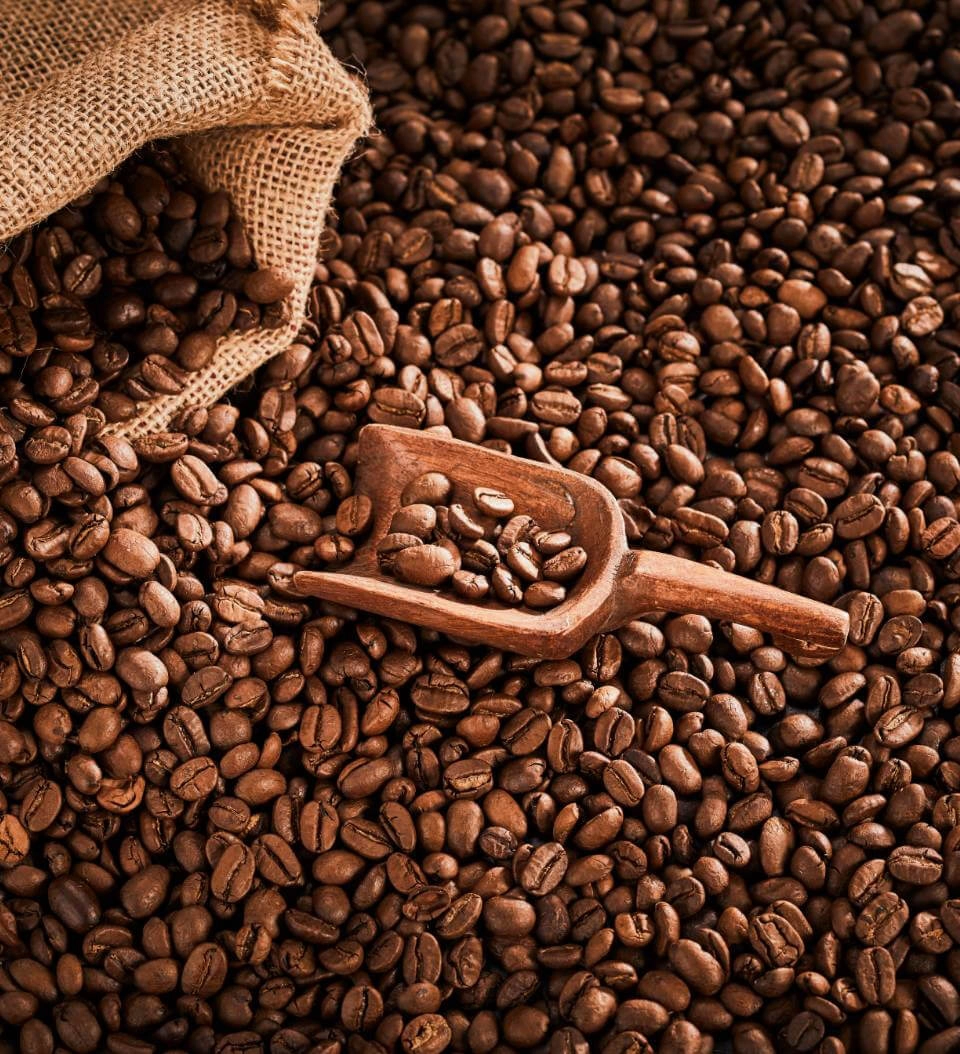 GROWTH SUPPLEMENTS - Imagem ilustrativa de uma diversos grãos de café