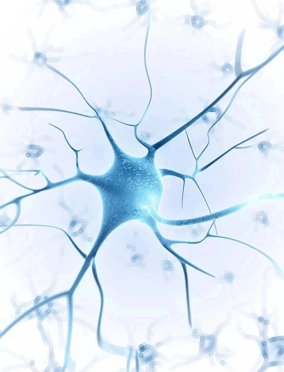 Ilustração da rede neuronal do cérebro