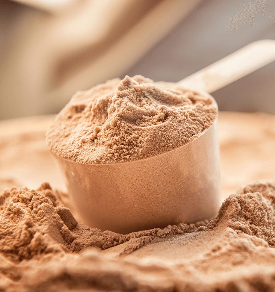 GROWTH SUPPLEMENTS - Scoop de Albumina